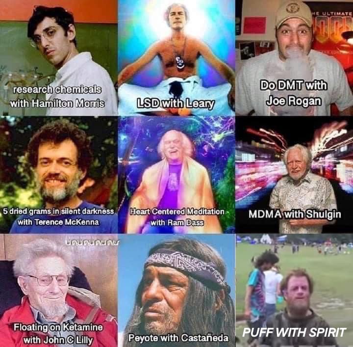 This meme is a collage of images of various individuals, including celebrities and public figures, with their names or occupations written below them. The text "I can smell the desperation" is written at the top, suggesting that the people in the images are trying to be relevant or interesting. The image is likely meant to be humorous or satirical, poking fun at the idea that these individuals are trying to be seen as something they're not.