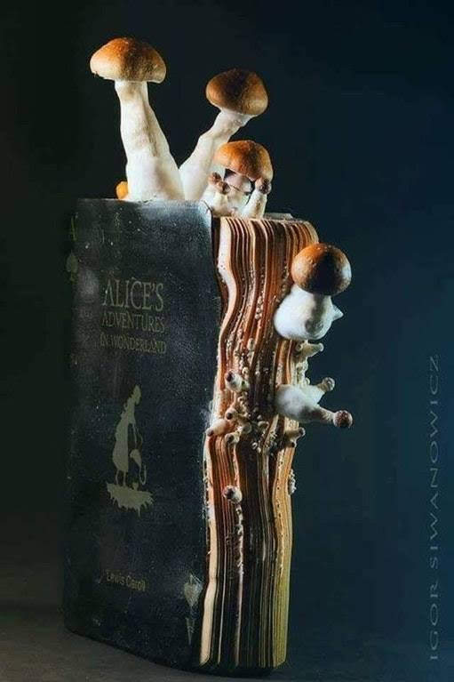 This meme is a photo of a book with its pages torn out, but instead of being empty, mushrooms are growing out of the book. The text "In 2-3 sentences, describe this meme for someone who cannot see it" is written at the top of the image. The meme is a play on the phrase "In 2-3 sentences" by replacing it with a book and mushrooms, implying that the description of the meme is literally growing out of the book.