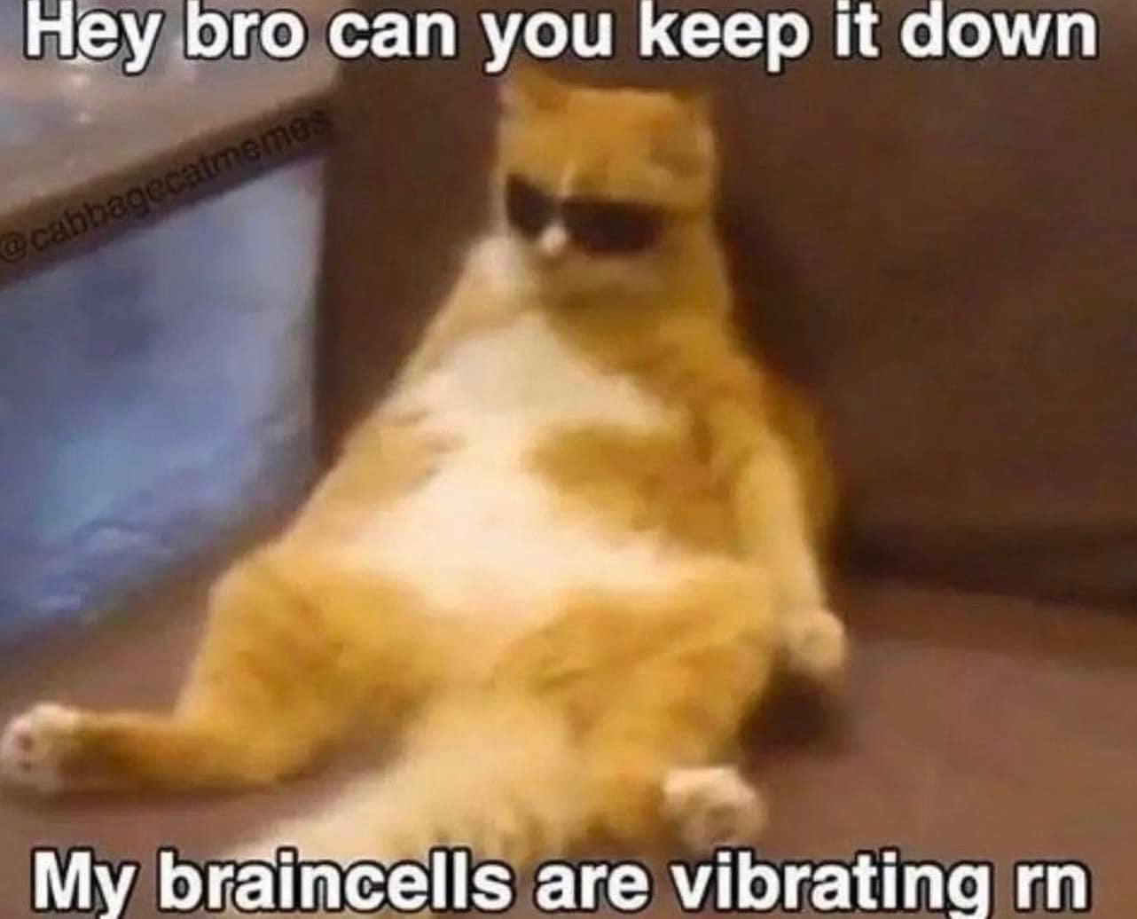 This meme features a cartoon cat with a calm expression, wearing sunglasses. The text above the cat reads "I can see you're upset about the cat's behavior" and below it says "but I'm not judging".