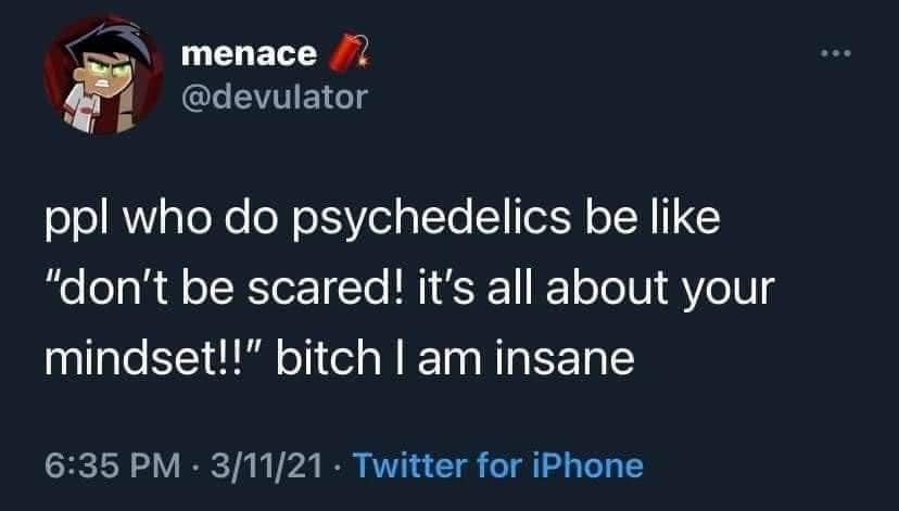 The meme is a screenshot of a tweet that reads: "ppl who do psychedelics are like 'don't be scared, it's all about your mindset!' bitch i am insane". The text is presented in a casual, conversational tone, with a dash of sarcastic humor. The author is poking fun at the idea that people who use psychedelics are often encouraged to focus on their mindset, implying that this approach is unrealistic or naive.
