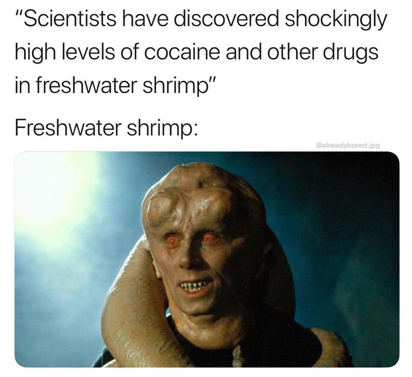 This meme is a humorous comparison between the high levels of cocaine and other drugs found in freshwater shrimp, often referred to as "fish food" in a sarcastic tone. The image depicts a character from the Star Wars franchise, specifically Jabba the Hutt, with a caption that reads: "Scientists have discovered the shocking truth about your fish food."