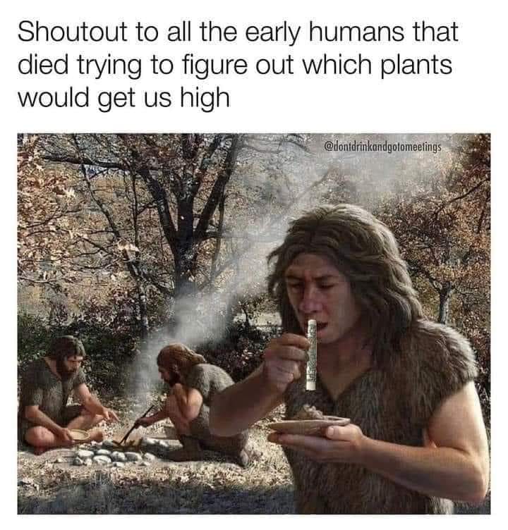 This meme is a humorous commentary on the early humans who were able to discover and use plants that would get them high. The image depicts a prehistoric scene with a caveman taking a hit from a plant, with the caption "Shoutout to all the early humans that died trying to figure out which plants would get us high".