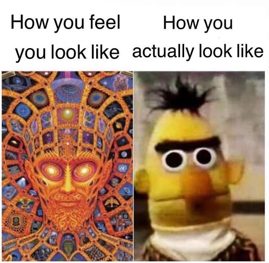 This meme is a humorous comparison between two images. The first image depicts a person with a fantastical, glowing face, while the second image is a picture of a Muppet character, Bert, with a similar but more mundane expression. The text above the images reads "How you feel" and "How you actually look".