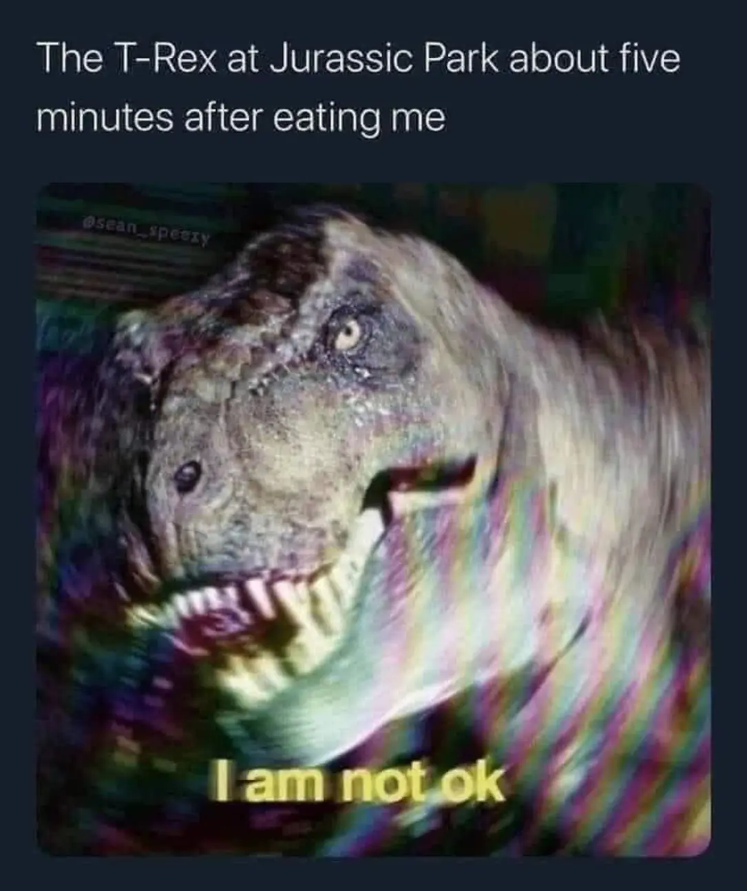 This meme features a still image of the Tyrannosaurus Rex from the movie Jurassic Park. The image is captioned with the phrase "The T-Rex at Jurassic Park after eating a visitor" and a quote that reads "I am not okay".