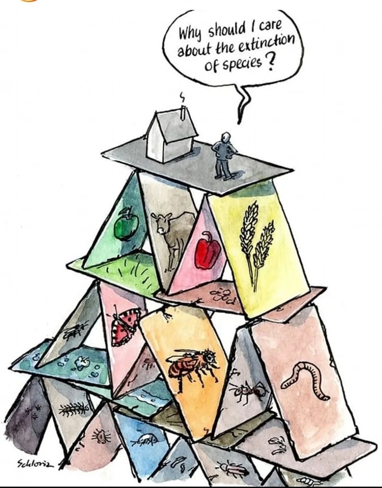 This meme is a cartoonish illustration of a house of cards collapsing, with each card featuring a different environmental or ecological issue (such as pollution, climate change, and species extinction). The text "Why should I care about the extinction of species?" is written on a card at the top of the structure, implying that the person asking the question is oblivious to the importance of environmental issues. The image is meant to be humorous and satirical, highlighting the disconnect between people's awareness of environmental problems and their willingness to address them.