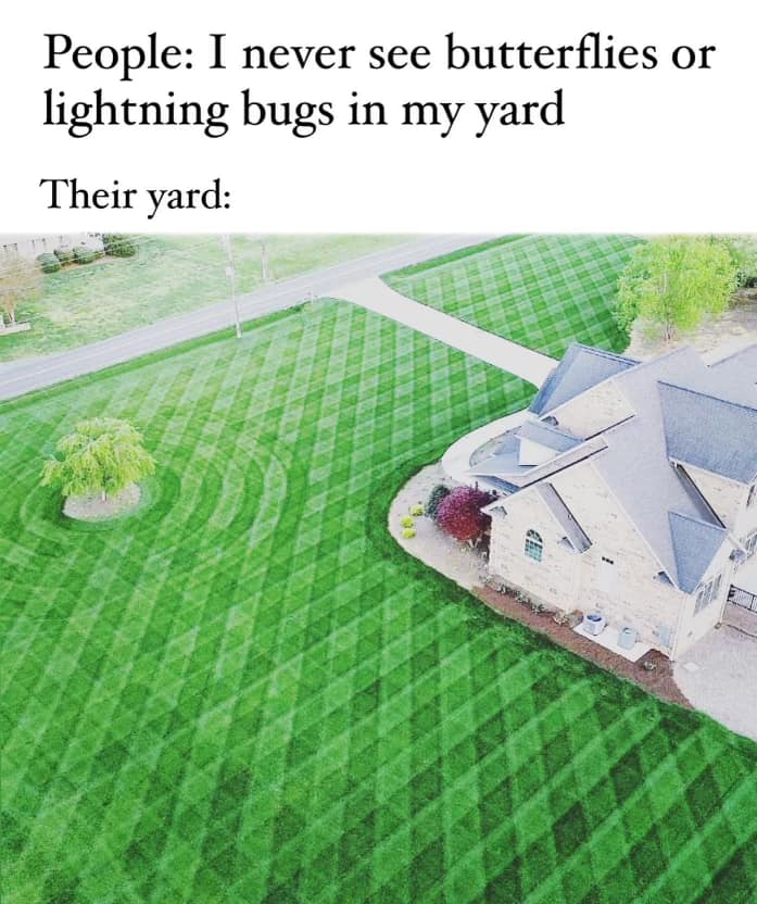 This meme is a humorous comparison between two people's experiences with insects in their yard. The top text reads "People: I never see bugs in my yard" while the bottom text says "Their yard:". The image is a photo of a lawn with a perfectly manicured and patterned grass, but upon closer inspection, it's clear that the pattern is actually made up of tiny insects, such as ants and beetles, that are scattered across the lawn.