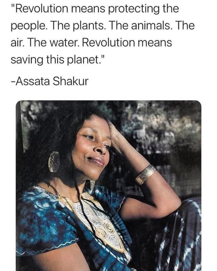 This meme is a quote from the rapper Ice Cube, but it has been altered to replace his name with the name of the rapper Snoop Dogg. The text is a humorous example of how a quote can be altered to make it sound like it was said by someone else.