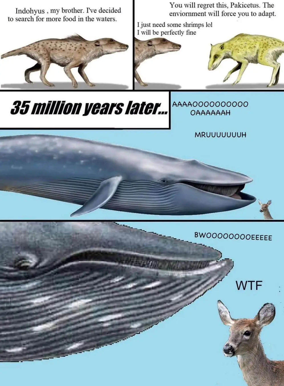 This meme is a humorous comparison between the size of a dinosaur and a modern animal. It features a text overlay that says "In 2 million years" and a caption that reads "I'll be the size of a mouse". The image is likely a humorous illustration or animation showing a dinosaur shrinking down to a tiny size, with a caption implying that it will be small enough to be a mouse.