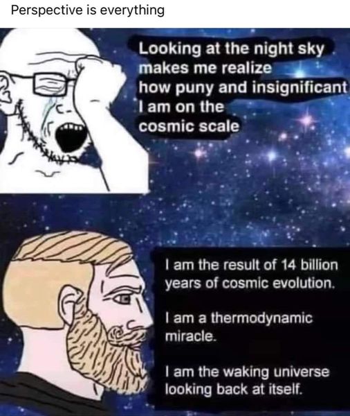 This meme is a humorous image that contrasts the grandeur of the universe with the insignificance of human existence. The image shows a person looking up at the stars, overwhelmed by the vastness of space, and then suddenly realizing their own tiny size in the grand scheme. The text reads: "I am but a small part of a vast and mysterious universe, and I am but a fleeting moment in the grand tapestry of time. I am but a small and insignificant speck in the grand universe, and I am but a moment in the infinite expanse of time. And yet, in this moment, I am aware of the vastness of the universe and the infinite possibilities that lie beyond the horizon of my small and insignificant self."