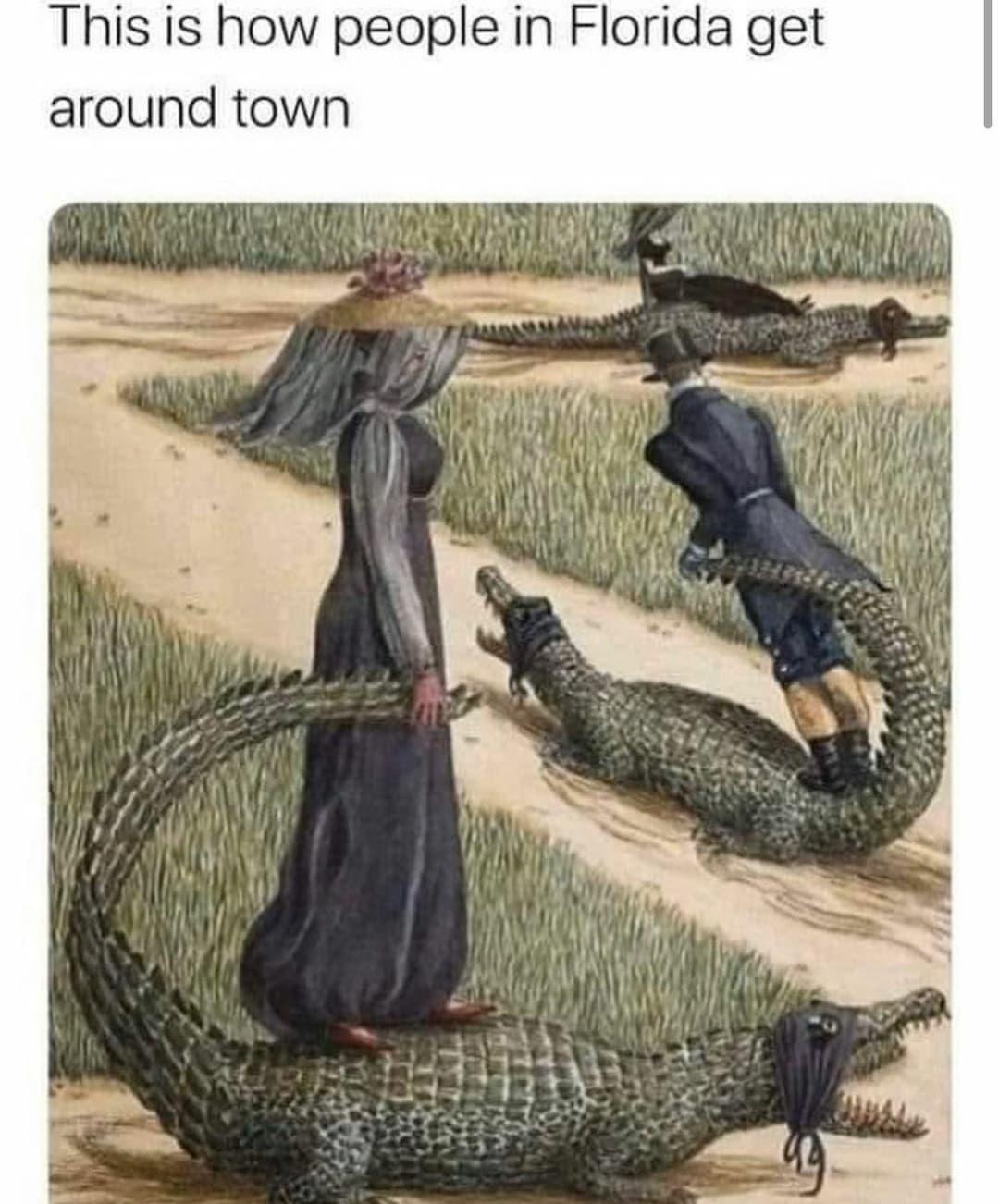 This meme is a humorous illustration of a person in a Victorian-era style dress being attacked by multiple crocodiles or alligators in a swampy or jungle-like environment. The text above the image reads "This is how people in Florida get around town". The image is likely meant to be humorous and ironic, exaggerating the stereotype that Florida is a place with many wild animals, particularly reptiles, and that residents often have to navigate through them to get around.