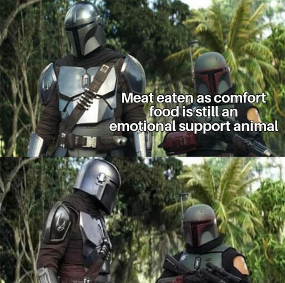 This meme is a humorous comparison between a person who is emotionally dependent on food and a character from the TV show "The Mandalorian". The text "I'm not a vegetarian because I love animals. I'm a vegetarian because I hate plants" is overlaid on an image of the Mandalorian character, implying that the speaker's love for animals is actually driven by a dislike for plants, much like the Mandalorian's love for the animal-like creature "The Child" (also known as "Baby Yoda") is driven by a love for the creature, not a hatred for plants.