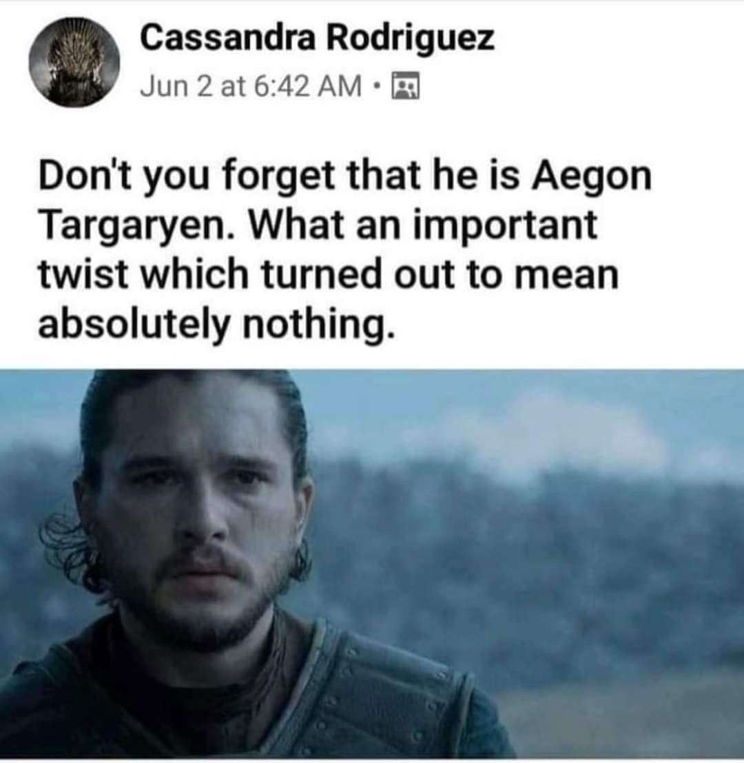 The meme is a screenshot from a Facebook post where a user is sharing a quote from the TV show Game of Thrones. The quote reads: "Don't you forget that he is Aegon Targaryen. What an important twist that turned out to be nothing." The post is referencing the show's infamous plot twist, where Daenerys Targaryen's true identity as Aegon Targaryen is revealed, but ultimately has no significant impact on the story.