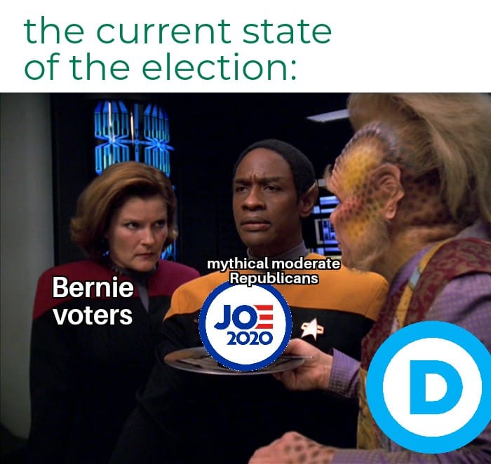 This meme is a humorous commentary on the 2020 US presidential election. The image depicts a scene from the TV show Star Trek: The Next Generation, where the character of Deanna Troi is being served a "cake" with a label that reads "The 2020 US Presidential Election". The label is actually a cake with the words "Bernie voters", "Moderate Republicans", "The 2020 US Presidential Election", and "Democratic Party" labels on it, implying that the cake is a representation of the election's three main factions.