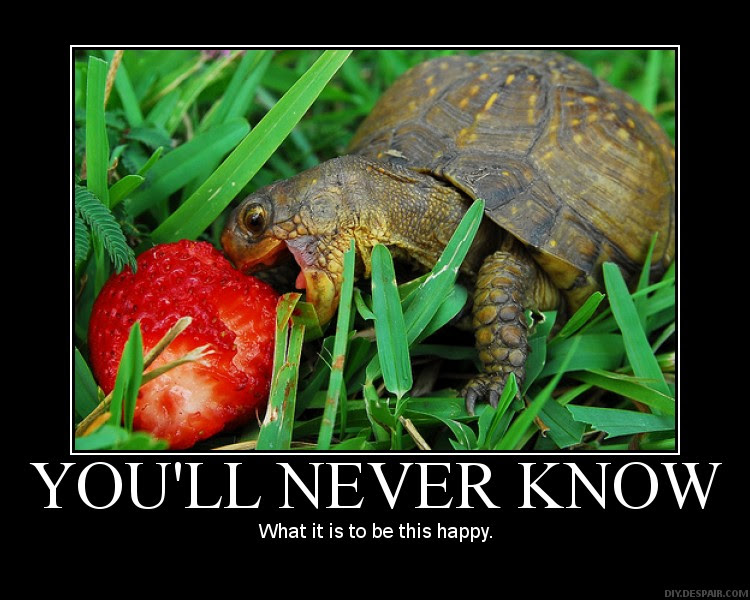The meme features a photograph of a turtle eating a strawberry, accompanied by the text "YOU'LL NEVER KNOW" and "What it is to be this happy." The image is meant to be humorous, implying that the turtle's joy is so intense that it cannot be understood or shared by others. The meme is likely intended to poke fun at the idea that some people may feel like they have a unique or special connection to their own happiness.