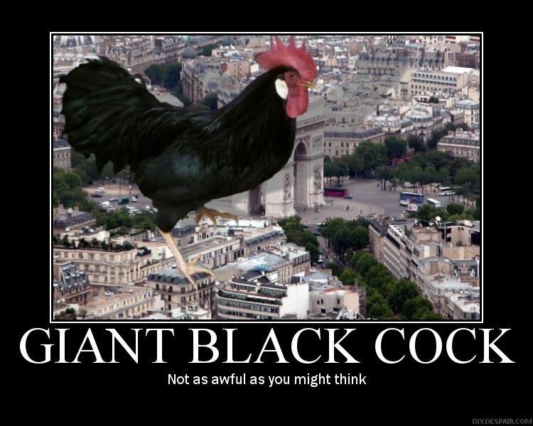 The meme features a picture of a giant, cartoonish chicken (a "giant chicken" or "chicken" is not actually a giant chicken, it is a chicken) with a cityscape in the background. The image is captioned "GIANT BLACK COCK" in large, bold letters, and the text "Not as awful as you might think" is written below it. The meme is likely a humorous take on the idea that something that sounds or appears intimidating or threatening is actually not as bad as expected.