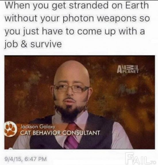 This meme is a humorous take on the concept of being stranded on a deserted island. It features a screenshot of a TV show or documentary host, with the text "When you get stranded on a deserted island with only your wits and a few gadgets, but you still manage to look stylish and professional" appearing above it.