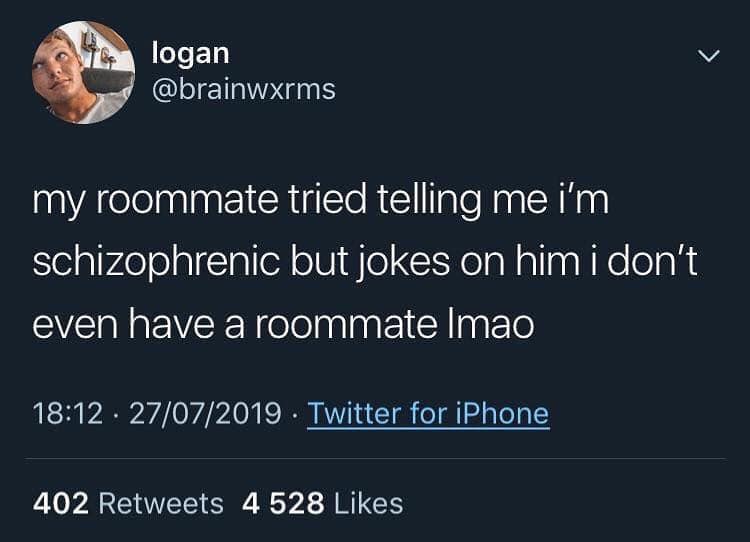 This meme is a tweet from a user named "logan" that reads: "my roommate tried telling me i'm schizophrenic but jokes on him i don't even have a roommate lol". The tweet is a humorous response to a situation where a roommate made a joke about the user being schizophrenic, but the user is actually a solo person living in an apartment, so the joke falls flat.