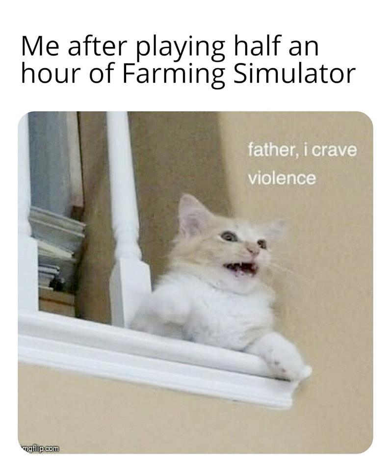 This meme is a humorous take on the frustration of playing a popular video game, specifically the farming simulation game "Stardew Valley" or "Farming Simulator", where the player is supposed to be enjoying the game but is actually feeling angry or frustrated. The image shows a cartoon cat with a shocked expression, captioned with the phrase "I just spent 3 hours playing farming simulator and I'm still not rich".
