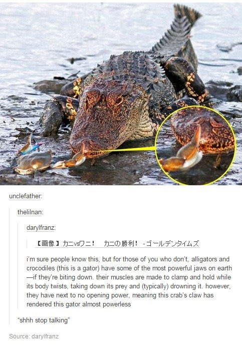 This meme is a photo of a crocodile eating a fish, but with a twist: the fish is actually a crab that has been transformed into a fish-like creature. The text above the image reads "i'm sure people know this, but for those of you who don't, alligators and crocodiles (this is a gator) have some of the most powerful jaws on earth - if they're biting down, their muscles are made to clamp and hold while...". The meme is likely a humorous take on the idea that crocodiles and alligators have powerful jaws, and the "while" is a joke about the fact that the crocodile is eating a fish that has been transformed into a fish-like creature.