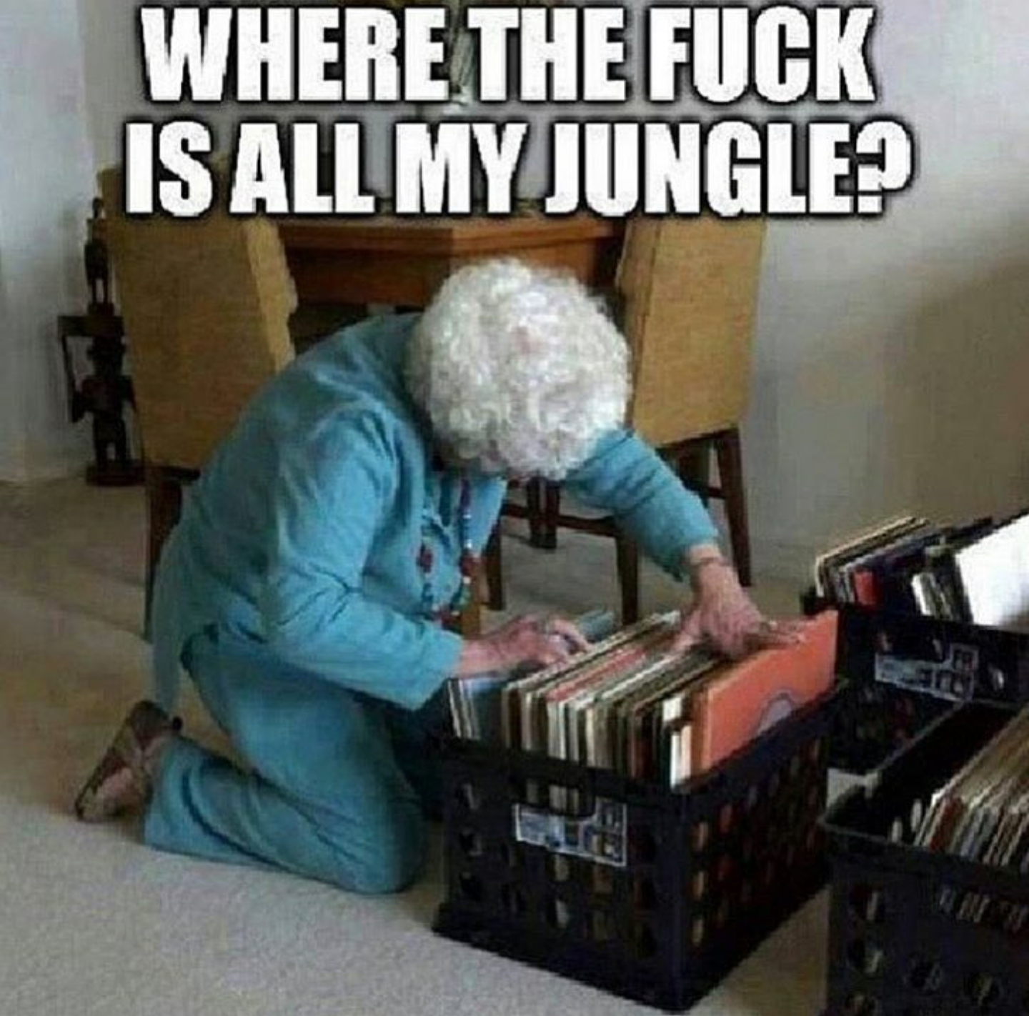 The meme features a photo of an elderly woman, likely in her 80s, kneeling on the floor amidst a sprawling collection of vinyl records. The image is captioned "WHERE THE F**K IS ALL MY JUNGLE?" in bold, all-caps text. The meme is likely referencing the 1994 song "Jungle" by The X-Files theme song composer, but the humor comes from the juxtaposition of a senior citizen surrounded by a massive music collection, implying she's been holding onto her "jungle" of records for decades.