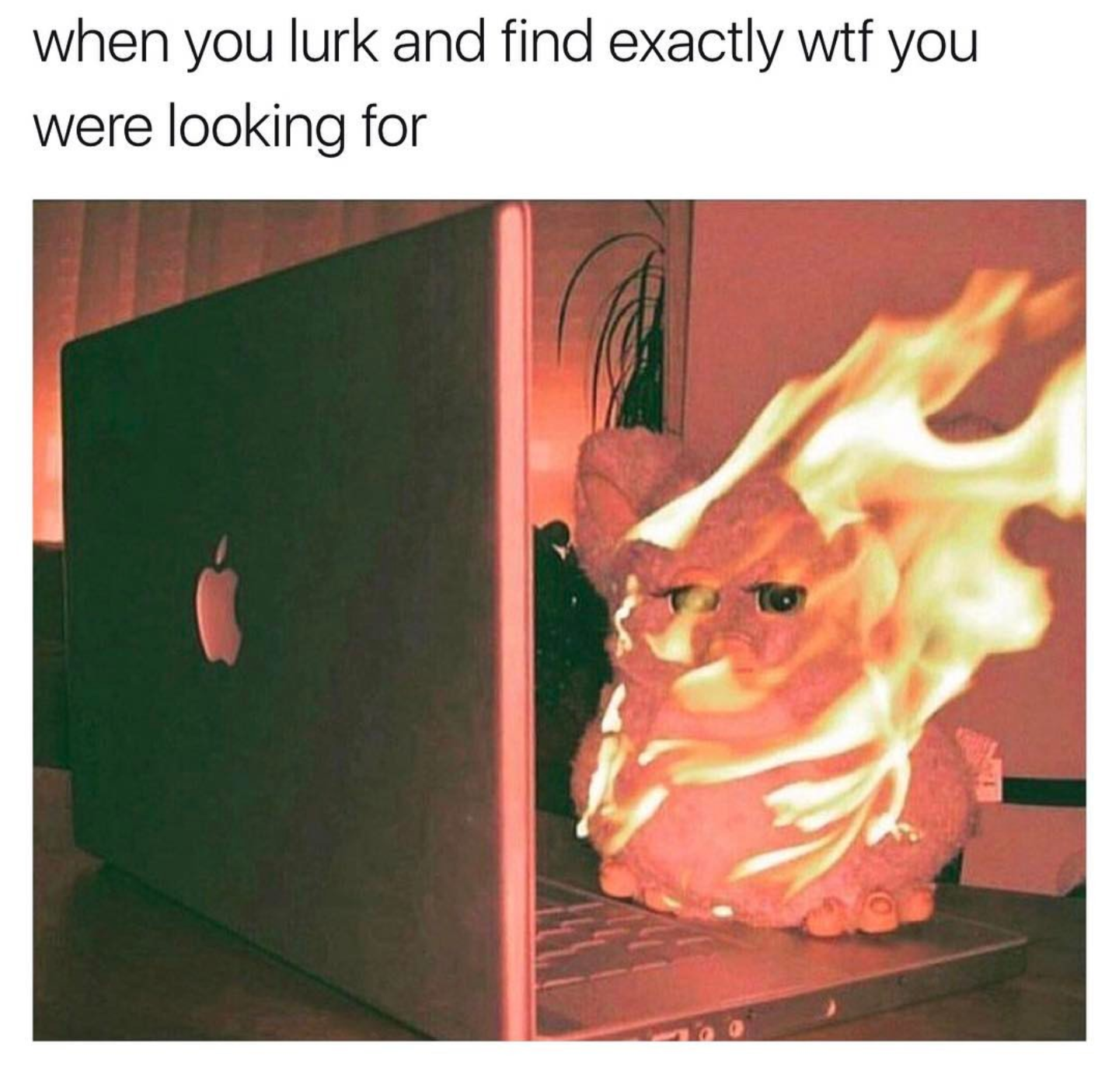 This meme features a cartoon character, Pepe the Frog, sitting in front of a computer. The text "when you lurk and find exactly what you were looking for" is displayed above the image. The image is humorous because it implies that the character has stumbled upon something embarrassing or incriminating on the internet, and is now experiencing a mix of shock, guilt, and embarrassment.