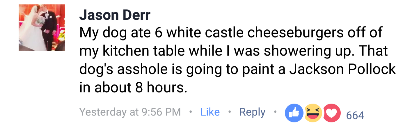 This meme is a screenshot of a Facebook post from a user named Jason Derr. The post reads, "My dog ate 6 of my kitchen table's legs in about 8 hours. I guess I'll be painting a Jackson Pollock now." The post is likely a humorous and sarcastic response to a situation where the author's dog has caused significant damage to their kitchen table.