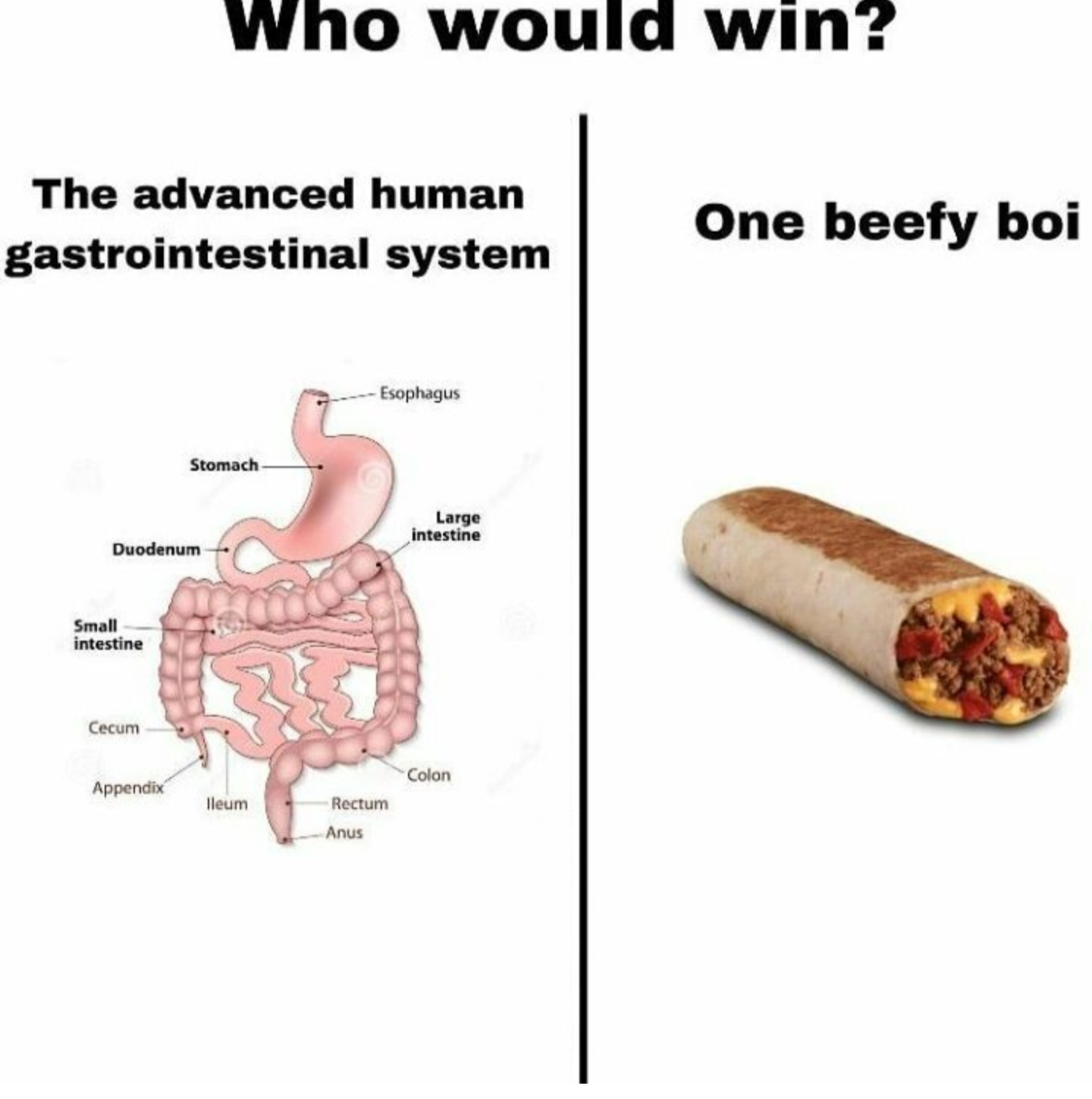 The meme is a humorous comparison between the human digestive system and a beef burrito. It's titled "Who would win?" and features two options: "The advanced human gastrointestinal system" and "One beef burrito". The implication is that the burrito would likely win in a hypothetical fight between the two, implying that the human digestive system is not as formidable as it might seem.