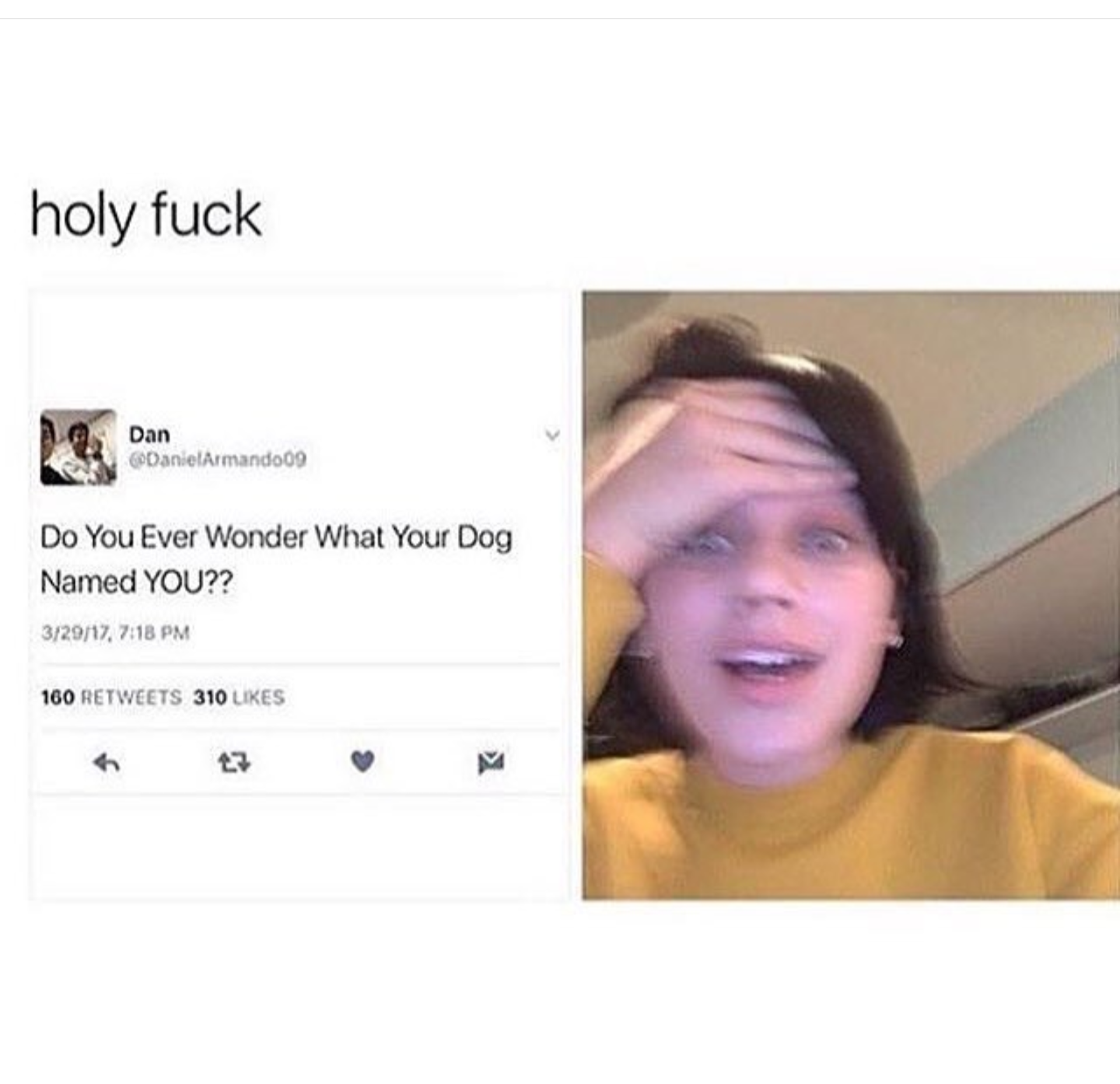 This meme is a humorous take on the idea that humans are often surprised by how their pets perceive them. The image shows a woman with a shocked expression, and the text "holy f**k" is written above her. The meme is accompanied by a tweet that asks, "Do you ever wonder what your dog thinks of you?"