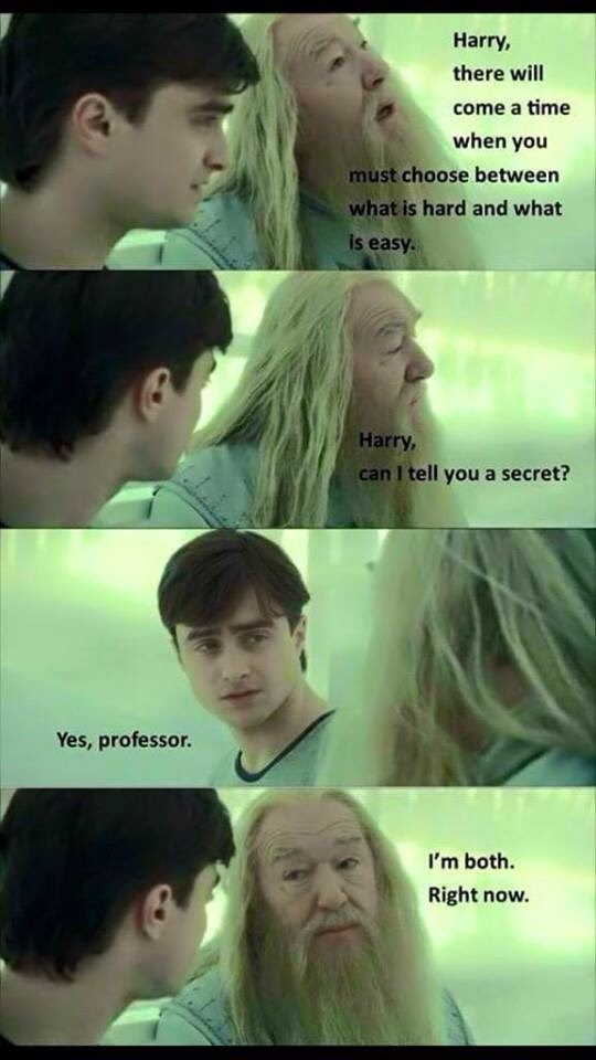 This meme is a screenshot from the Harry Potter movie series, specifically a scene between Harry Potter and Albus Dumbledore. The text on the image reads: "Harry, there will come a time when you must choose between what is hard and what is easy. I'm both." The image is a humorous take on Dumbledore's wise words, implying that he's both easy-going and difficult to understand.