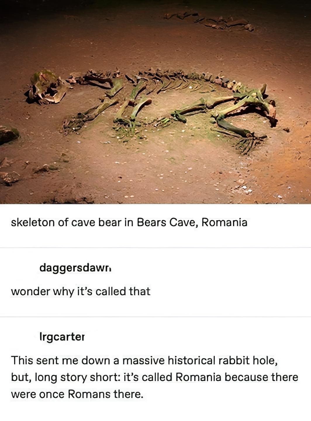The meme is a humorous comparison between the discovery of a fossilized skeleton of a cave bear in Romania, and a similar discovery of a fossilized skeleton of a cave bear in Romania. The text "In Romania, a cave bear skeleton was found" is followed by a joke about the discovery of a similar skeleton in Romania, with the punchline "Romania, because there were once Romans there".