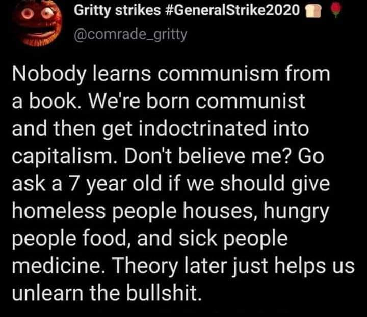 The meme is a humorous and satirical take on the concept of communism and the idea of teaching children about it. The text reads: "Nobody learns communism from a book. We're born communists and then get indoctrinated into capitalism. Don't believe me? Go ask a 7 year old if we should give homeless people houses, hungry people food, and sick people medicine. That's communism. The rest is capitalism."