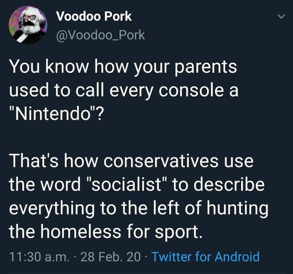 This meme is a humorous comparison between how parents used to call every Nintendo console and how some people use the term "socialist" to describe everything. The text on the image reads: "You know how your parents used to call every Nintendo console 'Nintendo'?" and "That's how conservatives use the word 'socialist' to describe everything to the left of hunting the homeless for sport."