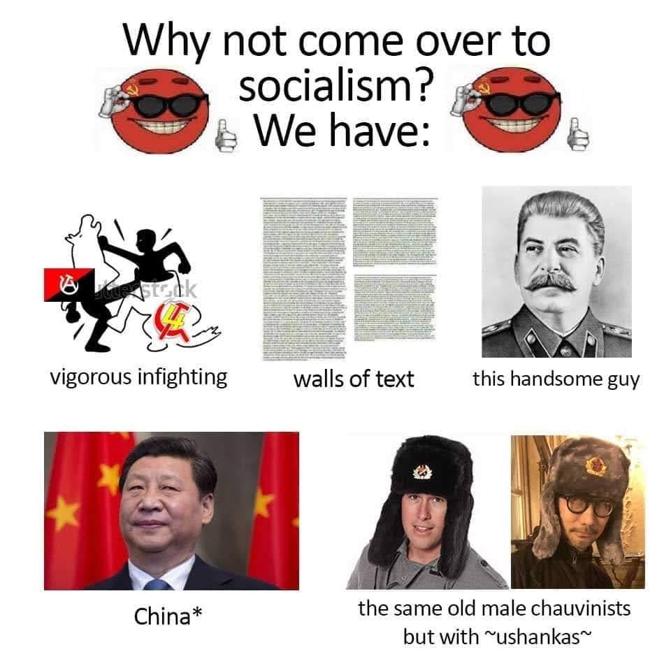 This meme is a humorous comparison of historical figures, juxtaposing their images and descriptions. The text at the top reads "Why not come over to socialism?" and the bottom says "We have:"  * A picture of a Soviet soldier with the caption "vigorously fighting" * A photo of Stalin with the caption "walls of text" * A picture of a Soviet soldier with the caption "this handsome guy" * A picture of Xi Jinping with the caption "China" * A picture of a Soviet soldier with the caption "the same old male chauvinists but with Ushankas"  The meme is poking fun at the idea that socialism is appealing to people, using humorous and absurd comparisons to make a point about the appeal of socialism.
