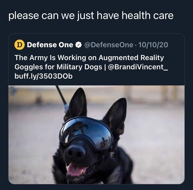 This meme is a screenshot of a tweet from the Twitter account "Defense One" (formerly known as "Defense One" but now "Defense One") with the caption "The Army Is Working on Augmented Reality Goggles for Military Dogs". The image itself is a photo of a dog wearing goggles that resemble a typical human's goggles, but with a military or tactical look. The dog is looking directly at the camera with its tongue out, as if it's excited to be wearing the goggles.