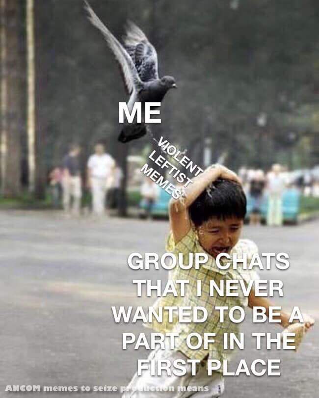 This meme features a picture of a child being chased by a bird, with a caption that reads: "I just wanted to have a peaceful group chat, but noooo, I had to go and mention that I'm a socialist who hates capitalism and now I'm getting roasted by every liberal who thinks I'm a communist who hates everything except the weather." The image is humorous because it exaggerates the idea that even a small, seemingly innocuous comment can spark a heated debate or argument in a group chat.