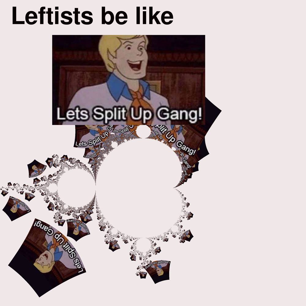 This meme is a humorous take on the concept of "leftists" and their perceived behavior. The image features a character from the cartoon "Scooby-Doo" with a caption that reads, "Let's split up gang!" The meme is meant to be ironic, implying that leftists are not capable of working together or making decisions as a group, and instead, they need to "split up" to accomplish anything. The image is likely meant to be satirical and not taken seriously.