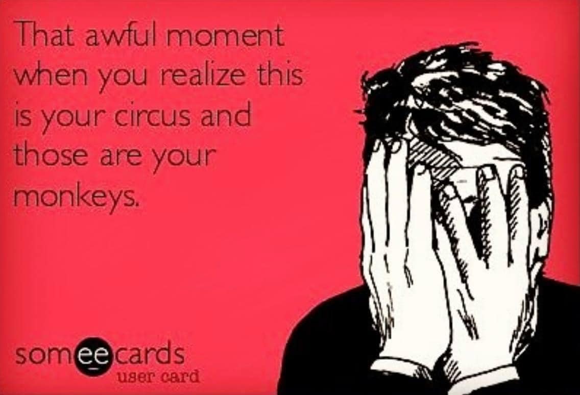 This meme is a humorous expression of frustration and disappointment. The text reads, "That awful moment when you realize this is your circus and those are your monkeys." The phrase is often used to convey that someone has been left in charge of a situation they did not want and are now struggling to deal with it. The image is likely a drawing of a person covering their face with their hands, indicating embarrassment or despair. The meme is meant to be relatable and amusing, as it pokes fun at the idea of being in charge of something you didn't want to be in charge of.