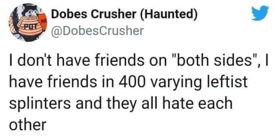 The meme is a tweet from Dobes Crusher that says, "I don't have friends I have friends in 400 splinters and they all hate each other." The tweet is accompanied by a Twitter bird icon, indicating that it was posted on the platform. The text is presented in a simple, black font on a white background, making it easy to read and understand.