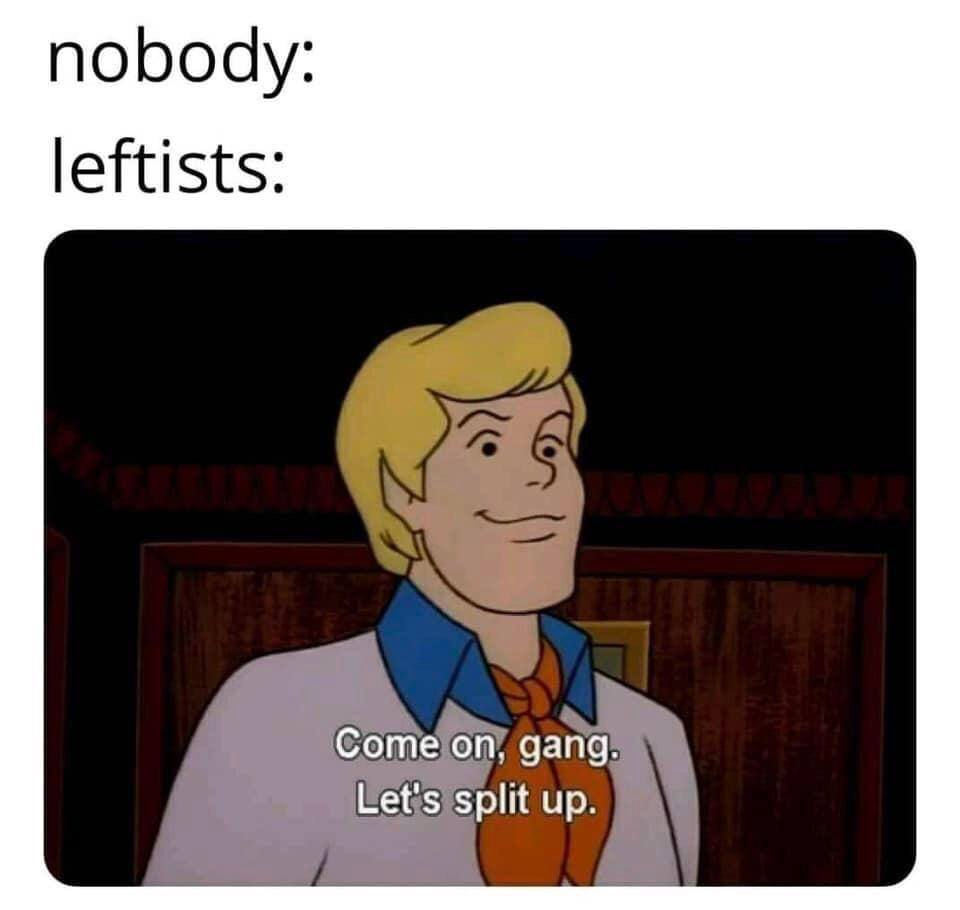 This meme is a humorous take on the stereotype that leftists are often associated with violence or aggression. The image features a character from the popular cartoon "Scooby-Doo," Fred, who is known for his leadership and detective skills. The meme shows Fred saying, "Come on, gang. Let's split up," which is a quote from the show. The text above the image says, "nobody: leftists:" and below it says, "Come on, gang. Let's split up." The meme is meant to be ironic and humorous, suggesting that leftists are often seen as being too radical or extreme, but in reality, they are just trying to do good. The use of a popular cartoon character and a quote from the show adds to the humor and makes the meme more relatable and memorable. Overall, the meme is a ligh-hearted way to poke fun at the stereotype that leftists are too radical or extreme, and to show that they are simply trying to make the world a better place.