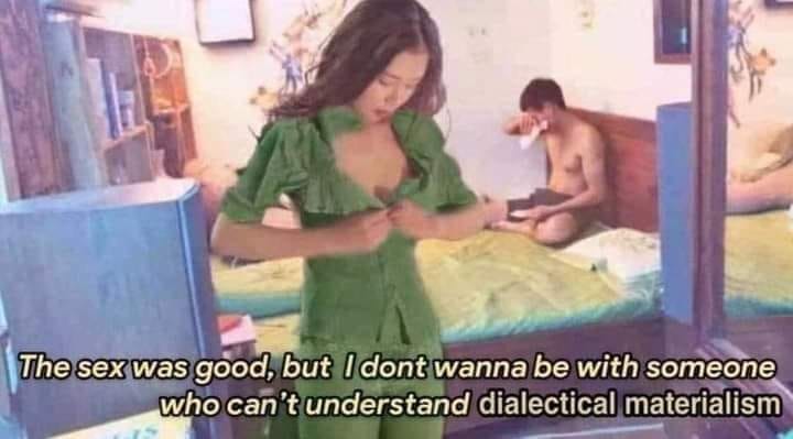 This meme features a still image of a woman in a green dress standing in front of a bed where a man is lying naked. The woman is looking at her phone with a concerned expression. The text at the bottom of the image reads, "The sex was good, but I don't wanna be with someone who can't understand dialectical materialism." The image is meant to be humorous, suggesting that the woman's partner is not only unable to understand complex ideas, but also can't even understand how to properly use a bed. The humor comes from the absurdity of the situation and the woman's expectation that her partner should be able to understand such a complex concept.