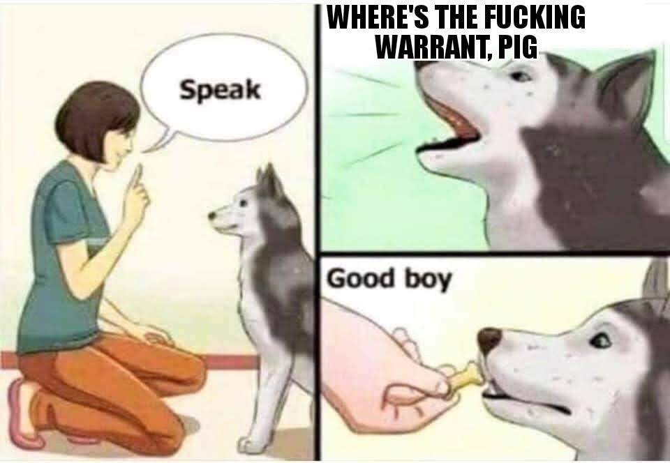 The meme is a comic strip featuring a dog and its owner. The dog is trained to "speak" and responds with a phrase that is often used to describe someone who is not very intelligent or is being sarcastic. The text "WHERE'S THE F**KING WARRANT, PIG" is written above the dog's head, implying that the dog is being sarcastic and using a phrase that is typically used to address someone who is not doing something as expected.