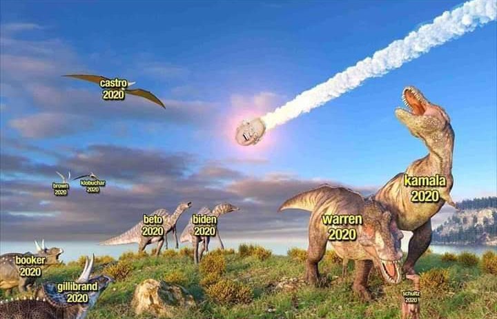 This meme is an image of a dinosaur fight scene from a movie or TV show. The image is labeled with the names of the 2020 US presidential candidates, including "Beto", "Biden", "Warren", "Kamala", "Booker", "Gillibrand", "Castro", "Hil…", "P…", "…", "…", and "…". The image also includes a label for "D…", which is likely a misspelled or incomplete name. The text "2020" is repeated throughout the image.
