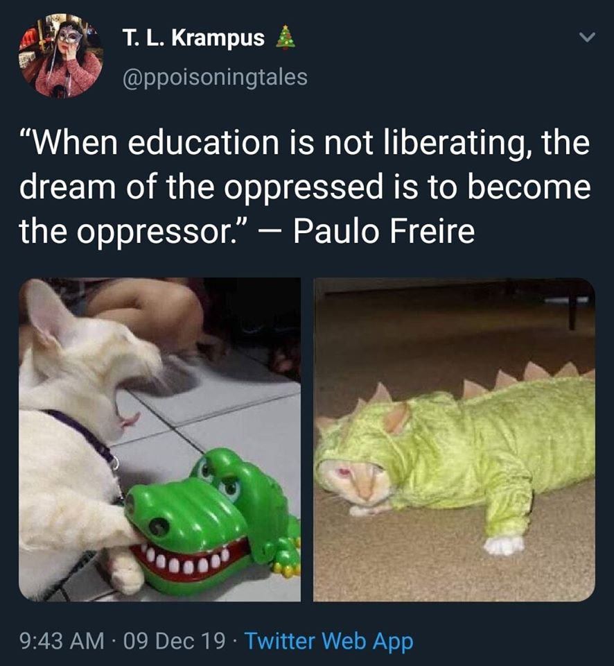 The meme is a humorous comparison between a cat in a dinosaur costume and a cat in a dog costume, both seemingly unhappy about their outfits. The text above the images reads: "When education is not liberating, the dream of the oppressed is to become the oppressor." This quote is attributed to Paulo Freire, a Brazilian philosopher and educator.