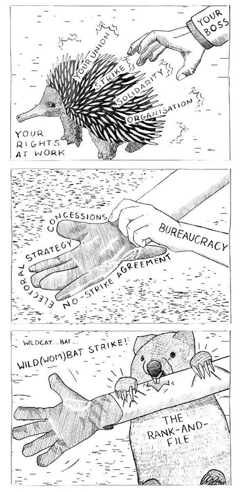 The meme is a humorous illustration of an echidant (a small, spiny mammal) being held by a human hand. The text in the image reads: "Your union, your rights at work, your boss, your union, your rights at work, your union, your rights at work, your union, your rights at work, your union, your rights at work, your union, your rights at work, your union, your rights at work, your union, your rights at work, your union, your rights at work, your union, your rights at work, your union, your rights at work, your union, your rights at work, your union, your rights at work, your union, your rights at work, your union, your rights at work, your union, your rights at work, your union, your rights at work, your union, your rights at work, your union, your rights at work, your union, your rights at work, your union, your rights at work, your union, your rights at work, your union, your rights at work, your union, your rights at work, your union, your rights at work, your union, your rights at work, your union, your rights at work, your union, your rights at work, your union, your rights at work, your union, your rights at work, your union, your rights at work, your union, your rights at work, your union, your rights at work, your union, your rights at work, your union, your rights at work, your union, your rights at work, your union, your rights at ...". The image is a humorous and satirical commentary on the idea of a worker's union, and the text is a joke that is not actually a real list of a worker’s rights at work.