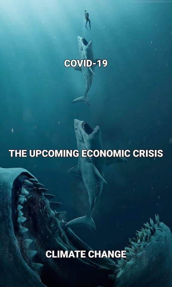 This meme is a humorous commentary on the current state of the world. It depicts a pyramid of creatures, with a person at the top, followed by a shark, a great white shark, and finally a massive shark with a massive mouth full of teeth. The text "COVID-19", "The Upcoming Economic Crisis", and "Climate Change" are written in a pyramid-like structure, with each level of the pyramid representing a growing threat to humanity.
