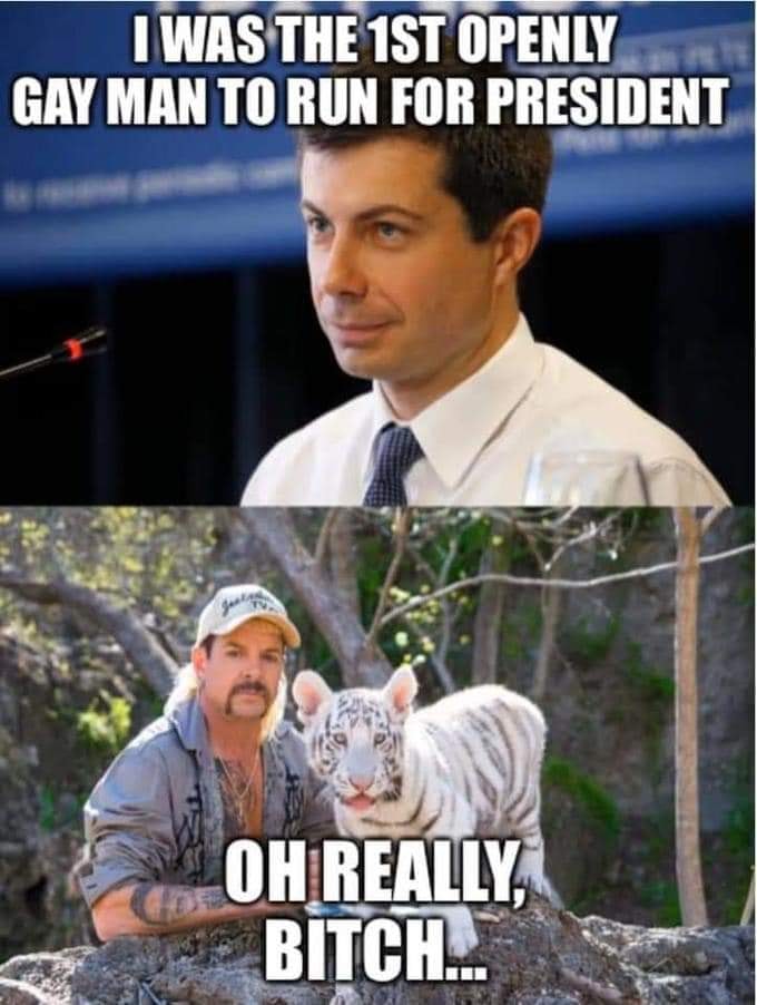The meme is a humorous comparison between two individuals, Pete Buttigieg and Joe Exotic, a former zoo owner and reality TV star. The meme states "I was the 1st openly gay man to run for president" from Pete Buttigieg, followed by "Oh really, bitch" from Joe Exotic, implying that he was also a pioneer in being openly gay. The meme is meant to be humorous and ironic, comparing two individuals who both have a history of being openly gay.
