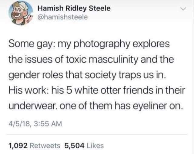 The meme is a humorous response to a tweet about exploring toxic masculinity and the gender roles that society traps us in. The response is a sarcastic and absurd comment about a person's photography work, specifically mentioning that one of his 5 white otter friends in their underwear has an eyeliner on. The tone is playful and ironic, poking fun at the idea of exploring the complexities of gender roles.