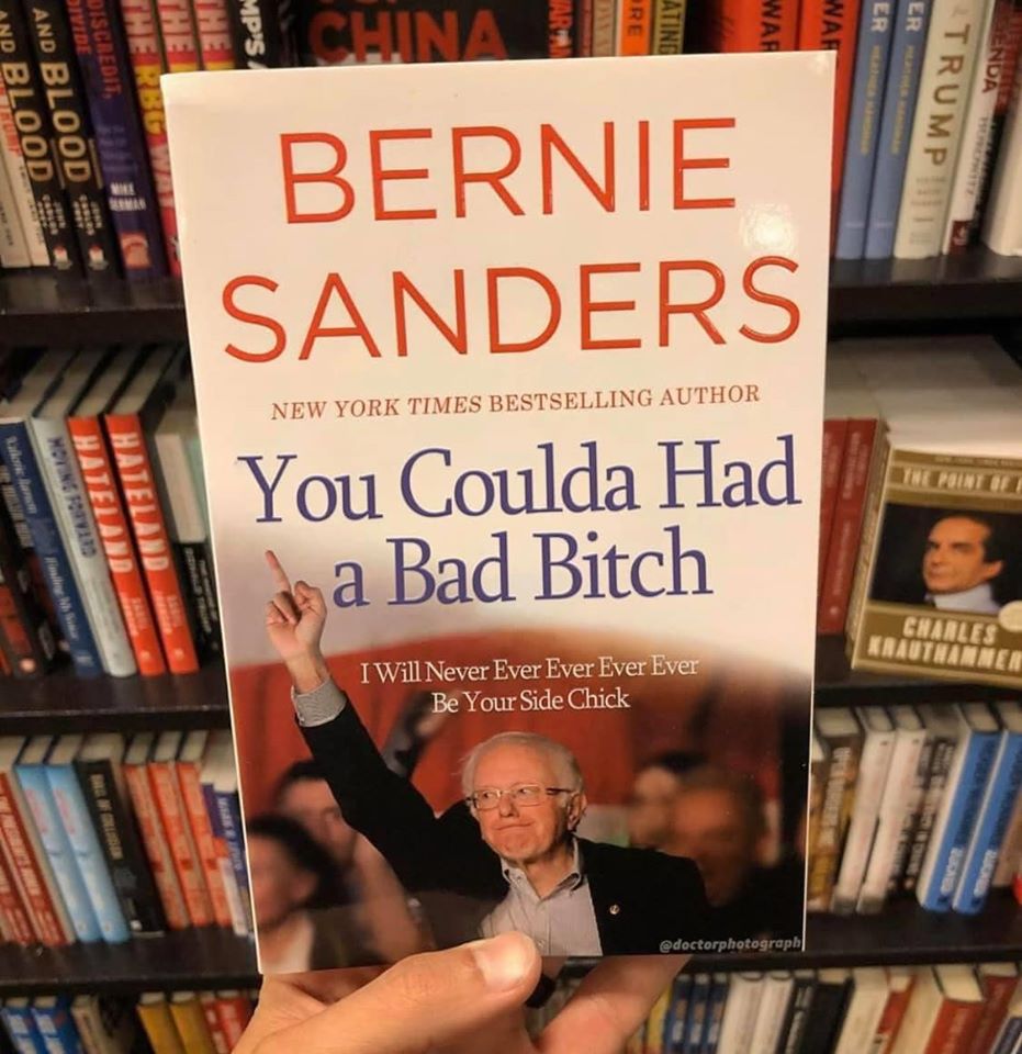 The meme is a humorous image of a book titled "You Coulda Had a Better Life" with a photo of Bernie Sanders on the cover, pointing upwards in a triumphant gesture. The text on the cover is a play on the title of his 2016 presidential campaign book, "You Coulda Had a Better Life" is a joke title, implying that Bernie's campaign was a failure.