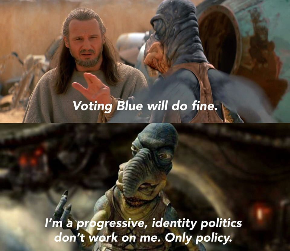 This meme is a humorous comparison between two characters from the Star Wars franchise. The top image features Qui-Quin, a character from the Star Wars prequels, saying "Voting Blue will do fine." The bottom image features a character from the Star Wars prequels, Plo Kailo, saying "I'm a progressive, identity politics don't work on me. Only policy."