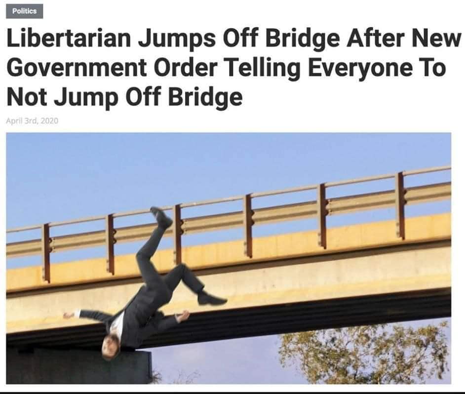 This meme is a humorous image of a person in a business suit jumping off a bridge, but instead of falling, they're stuck in mid-air, frozen in a ridiculous pose. The image is captioned "Libertarian Jumps Off Bridge After New Government Order Telling Everyone To Not Jump Off Bridge". The meme is a satirical commentary on the absurdity of government orders and the tendency to follow them without thinking.